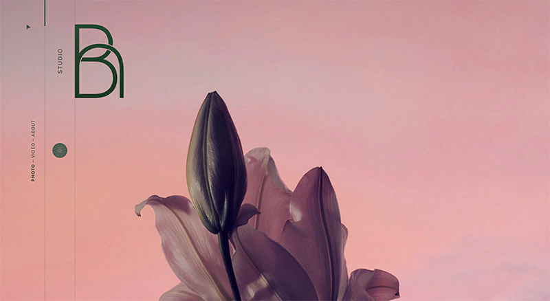 benjaminhenon flowers