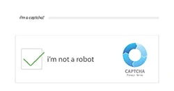 captcha checkbox looks like