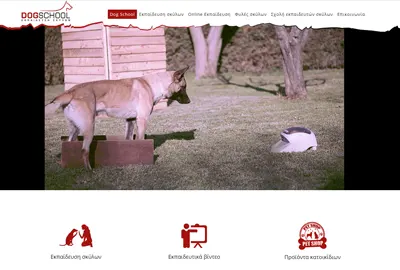 dog school