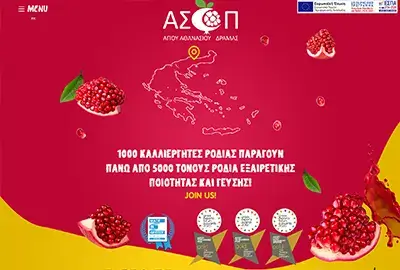 ellinikos xymos rodi
